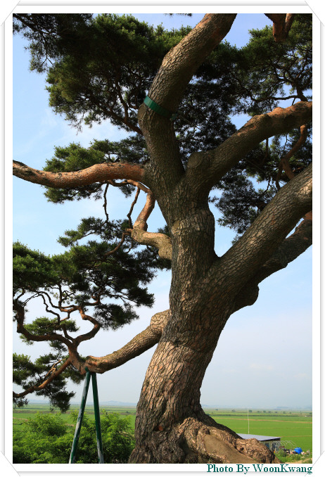 승천농장 이미지