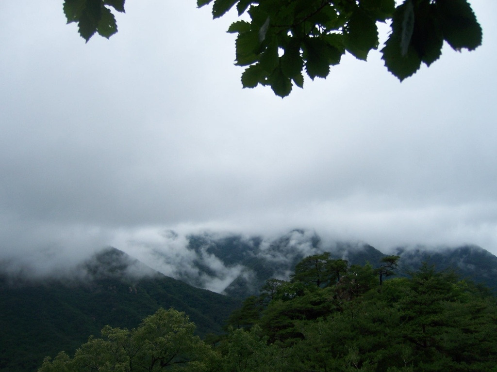 �̹����� Ŭ���ϸ� ������ ���� �� �ֽ��ϴ�.