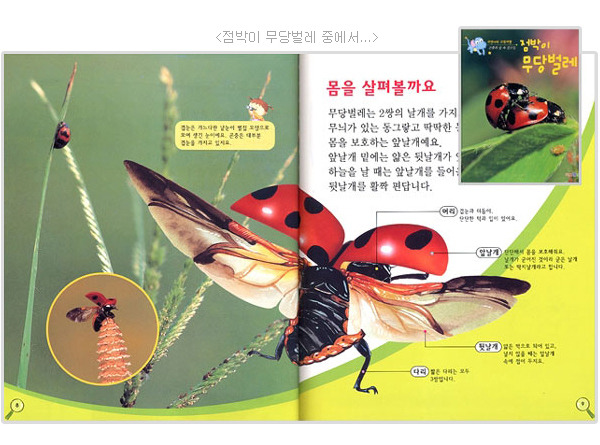 자연나라 이미지