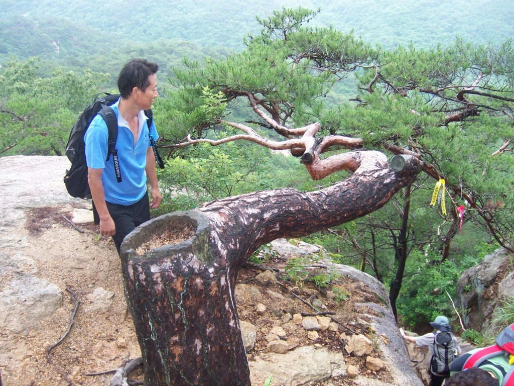 �̹����� Ŭ���ϸ� ������ ���� �� �ֽ��ϴ�.