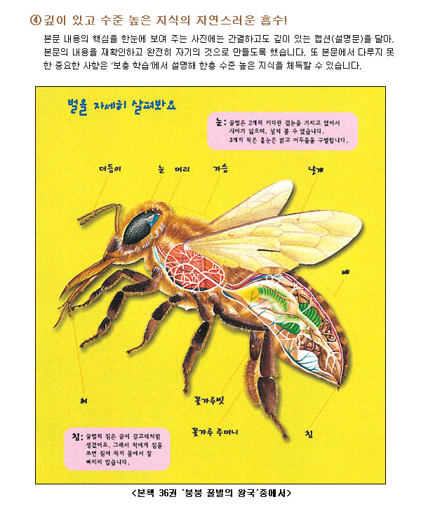 자연나라 이미지