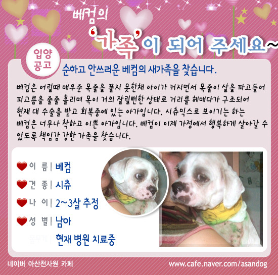 추련 이미지