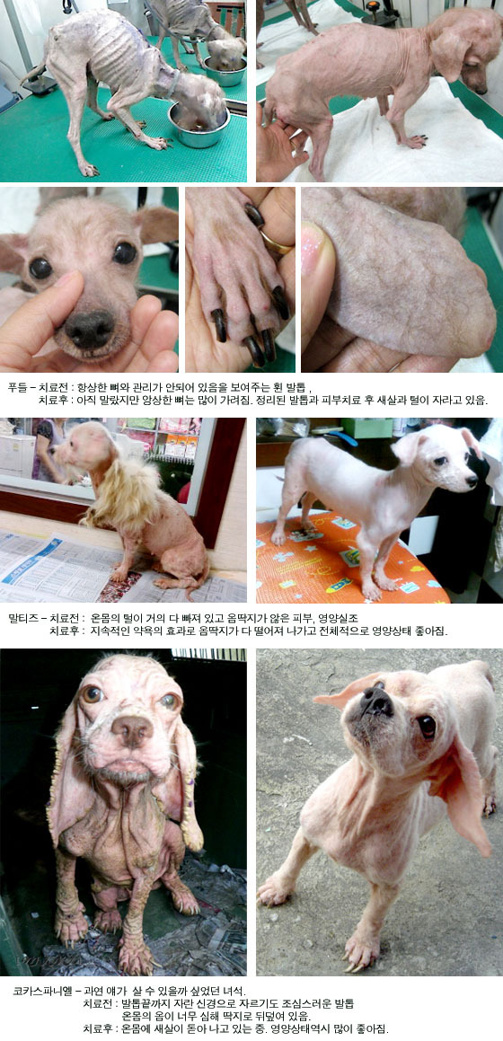 뻔뻔샵 이미지