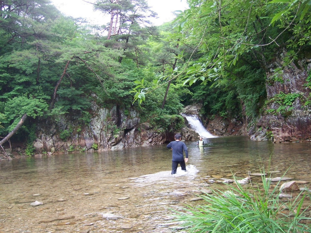 �̹����� Ŭ���ϸ� ������ ���� �� �ֽ��ϴ�.