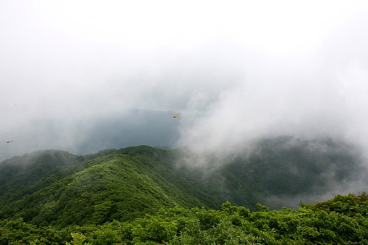 �̹����� Ŭ���ϸ� ������ ���� �� �ֽ��ϴ�.