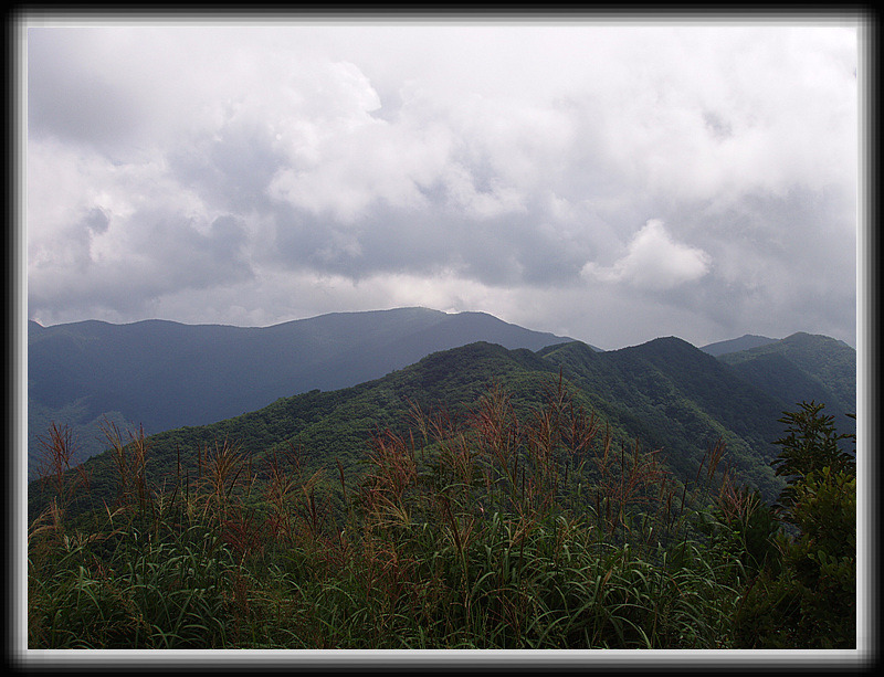 지리산IC 이미지