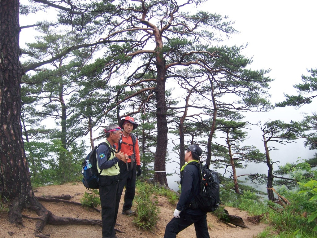 �̹����� Ŭ���ϸ� ������ ���� �� �ֽ��ϴ�.