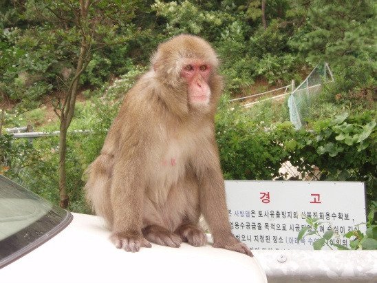 가학산자연휴양림 이미지