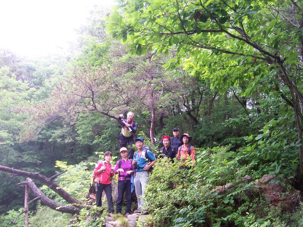 �̹����� Ŭ���ϸ� ������ ���� �� �ֽ��ϴ�.