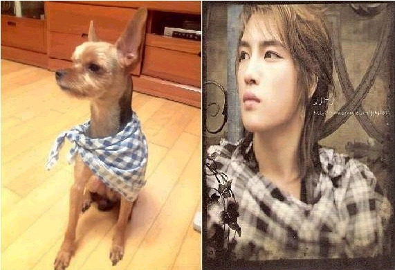 신*기 이미지