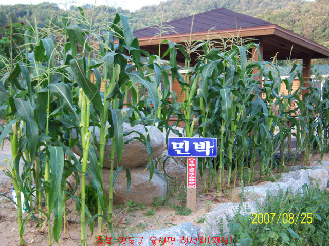 영동하우징 이미지
