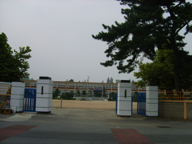 남지초등학교 이미지
