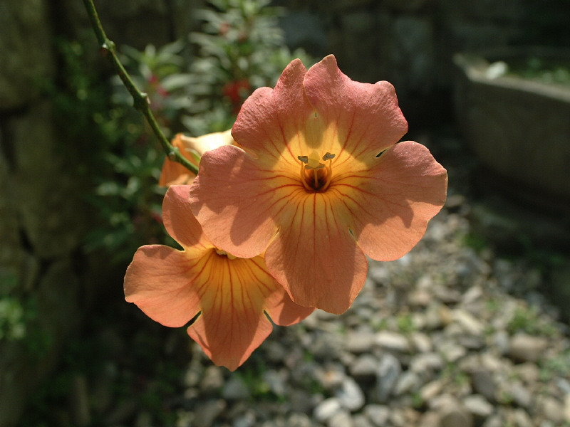 �̹����� Ŭ���ϸ� ������ ���� �� �ֽ��ϴ�.