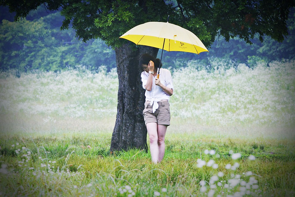 더분 이미지