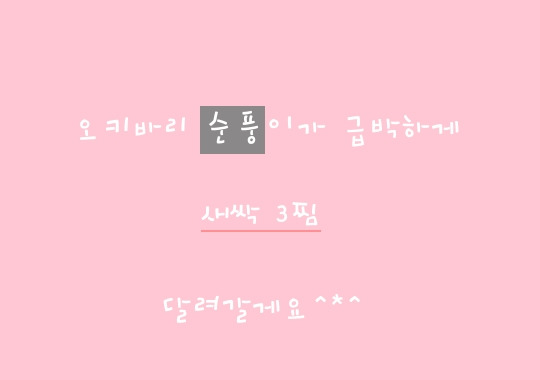 빤딱 이미지