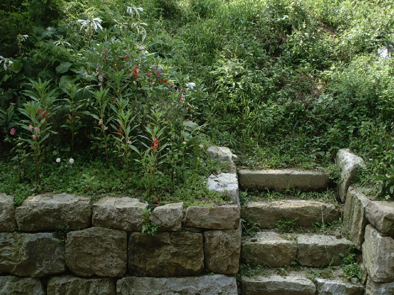 �̹����� Ŭ���ϸ� ������ ���� �� �ֽ��ϴ�.