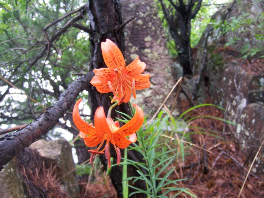 �̹����� Ŭ���ϸ� ������ ���� �� �ֽ��ϴ�.